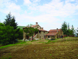 Farmhouse Mancino pic 2