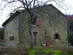 Farmhouse Mancino pic1