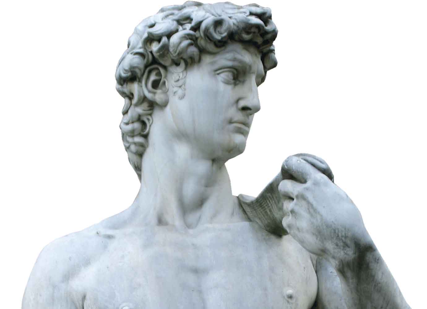 Michelangelo-bust
