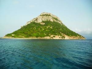 La Isola di Figarolo – ‘Marco del Mare’ swims with dolphins here