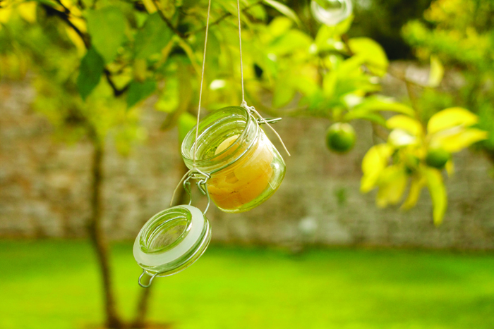A candle hanging from a lime tree