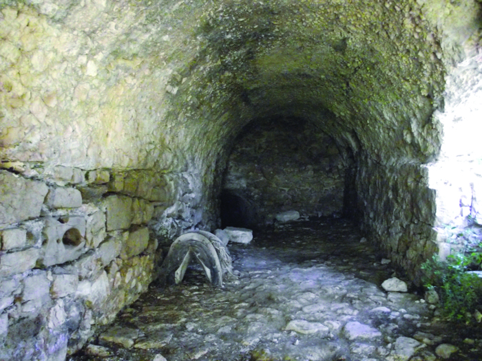 *083 roman cellars discovered beneath le mole sul farfa