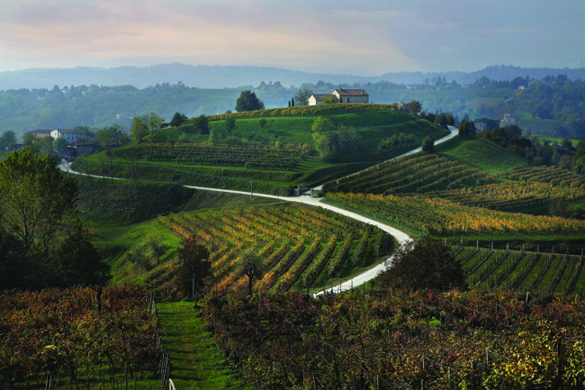 The 'Prosecco Road' is Italy's oldest wine route. it is 60km long and connects you with 120 wine producers.