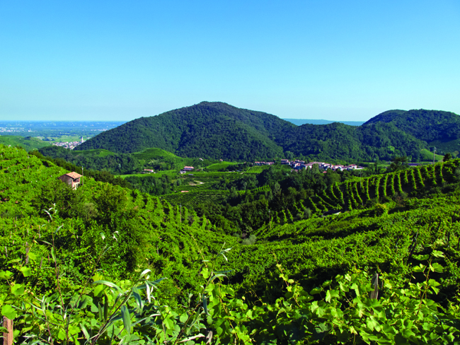 The vineyards of Valdobbiadene