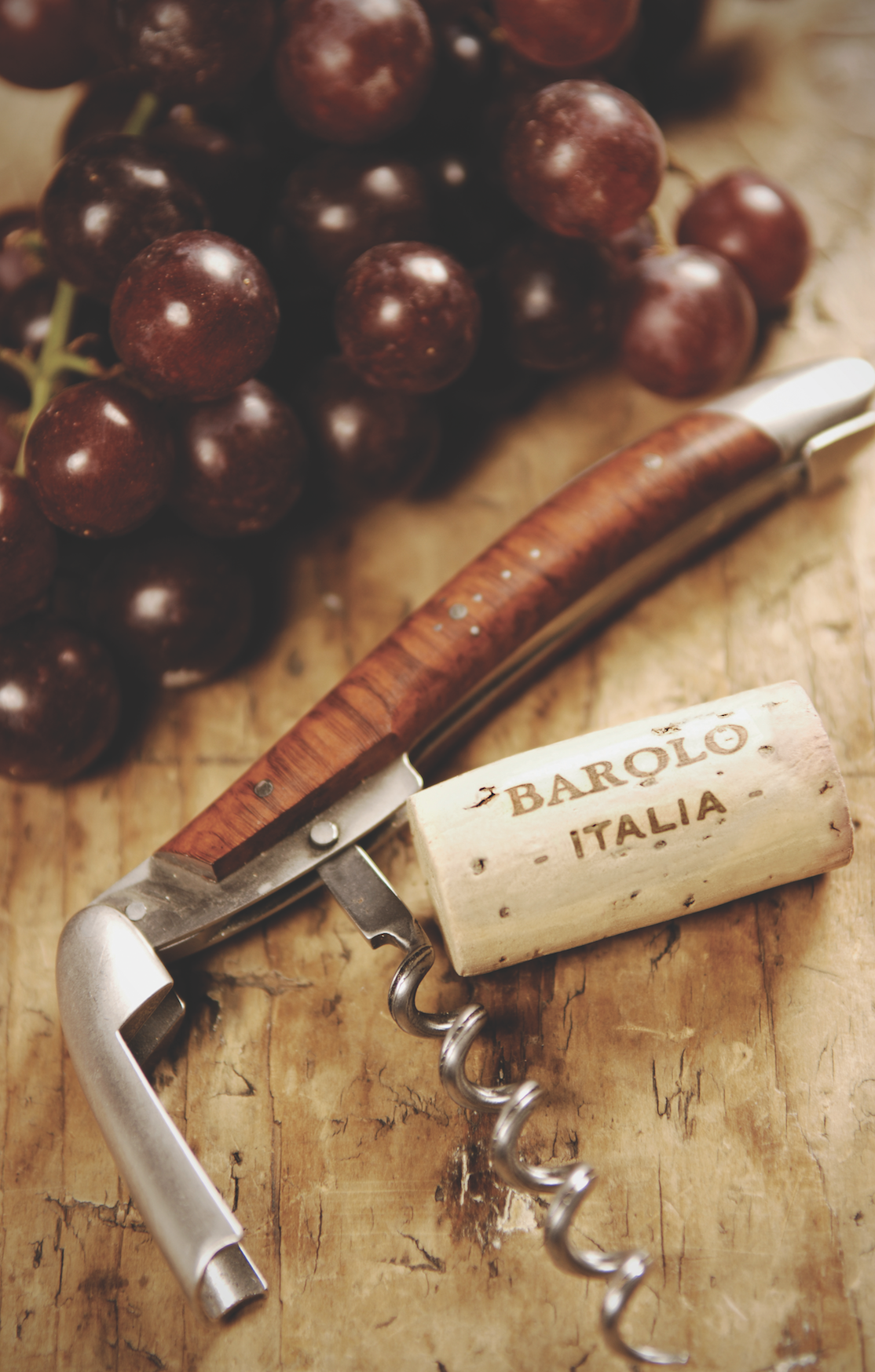 Barolo Wine - Italia! Icons