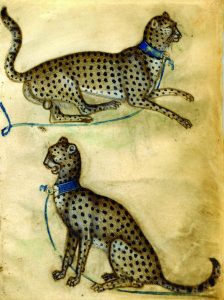anon-lombard-two-cheetahs-1400-10-bodycolour-and-watercolour-on-vellum-copyright-the-trustees-of-the-british-museum