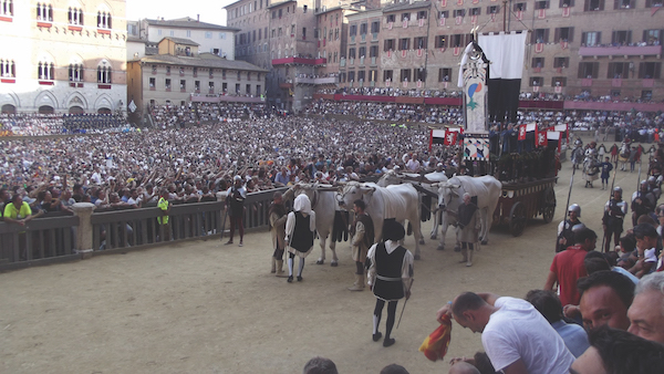 Chianti bulls at Siena Palio