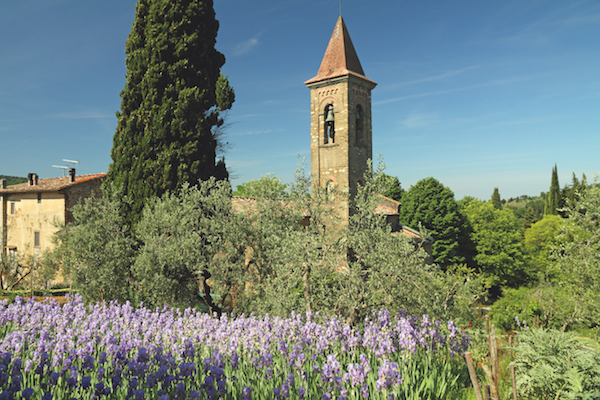 Tuscany garden