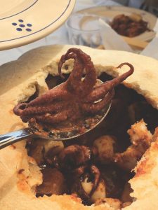 baby octopus, Puglia