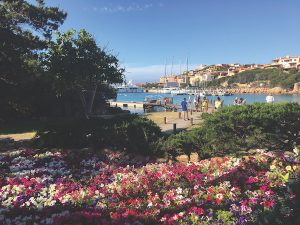 Flowers in Porto Cervo, Sardinia