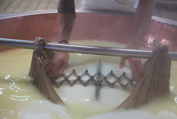 cheese making 