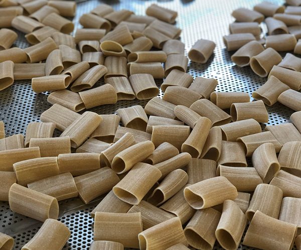 ancient grains pasta paccheri