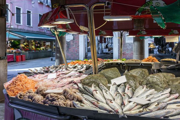 fresh seafood on a fish market in Venice