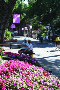 15. flowers, bicycles, and contentment all around