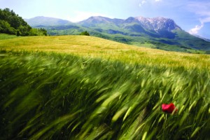 GranSasso©iStock