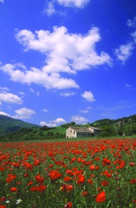 LeMarcheHouse©iStock