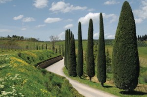 TuscanyWalking©iStock