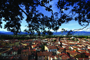 View of Lucca from the top of the Torre Guinigi
