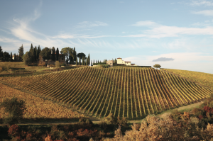 Chianti iStock