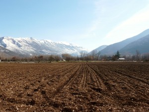 Early winter snow and the garlic field recently ploughed 