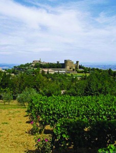 *Montalcino