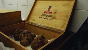 *White truffles at the Tartufi Morra shop