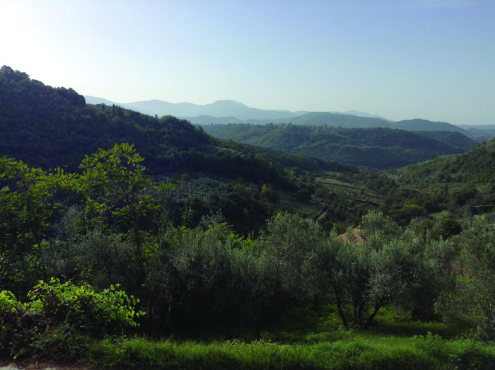 Tuscan beauty