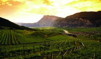 trentino