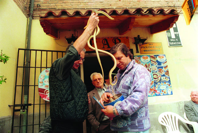 cocullo outside the only bar charmers carry their snakes in