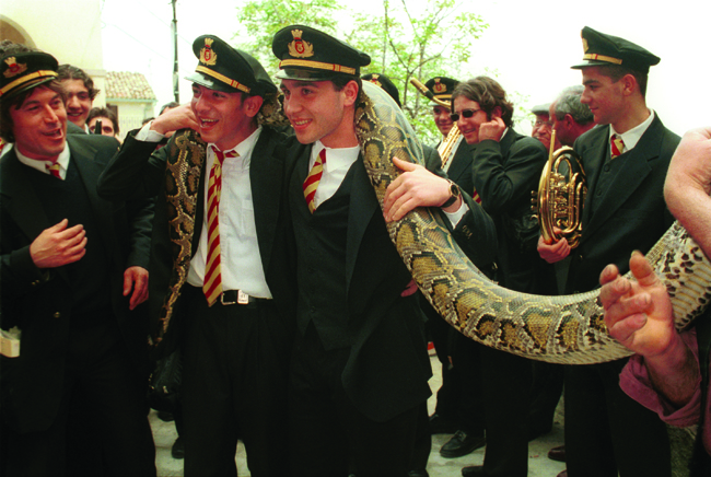 parades include exotic snakes a fact which angers the Mayor
