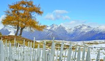 luson valley