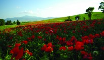 val d'orcia