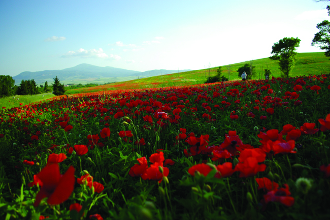 val d'orcia