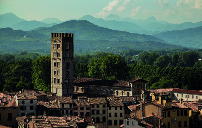 View from Lucca's Guinigi Tower