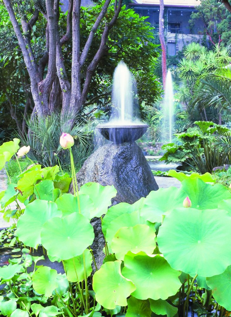 Giardini La Mortella, Valle, Fontana alta (quarta fontana)