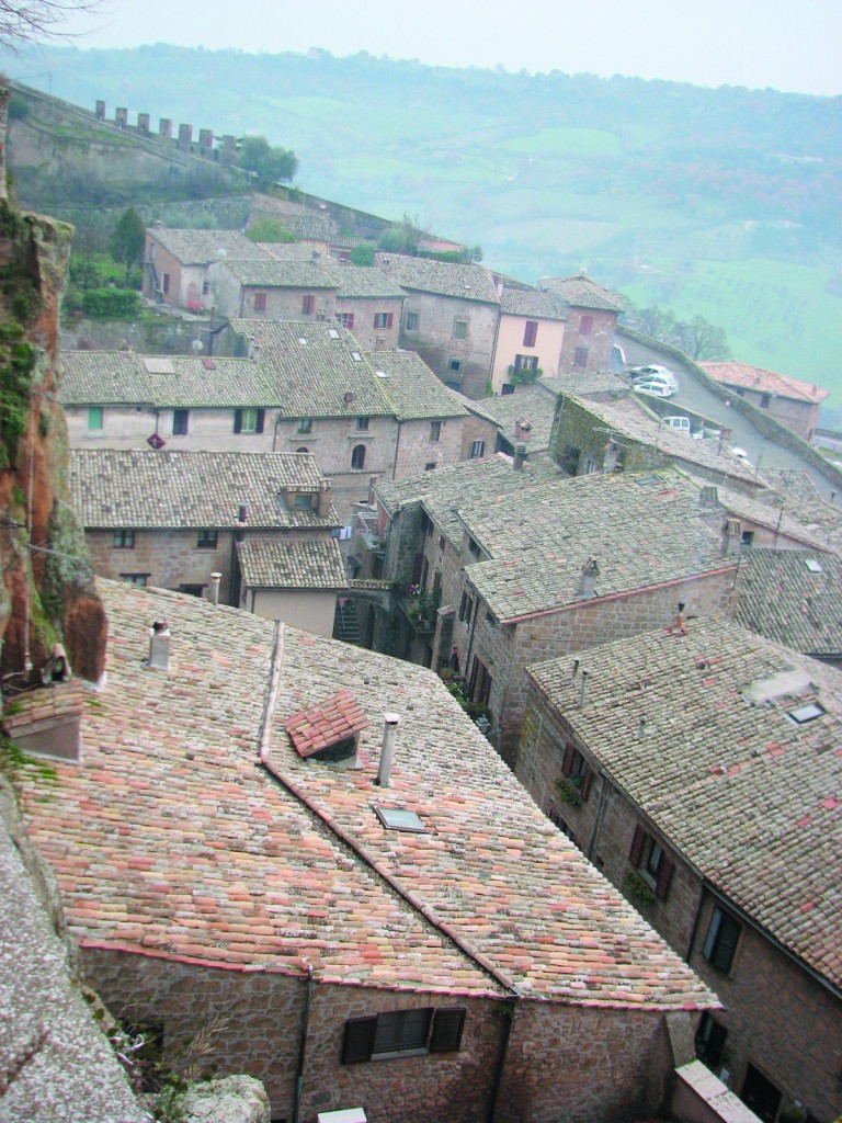 Orvieto rooftops & hills