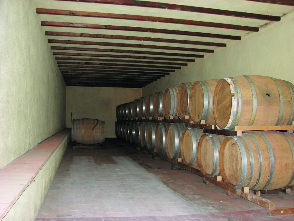 Wine cellar_Le Sughere