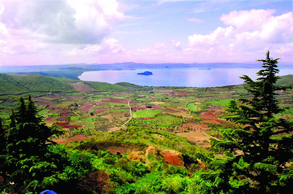 view from Montefiascone 1, by Fleur Kinson