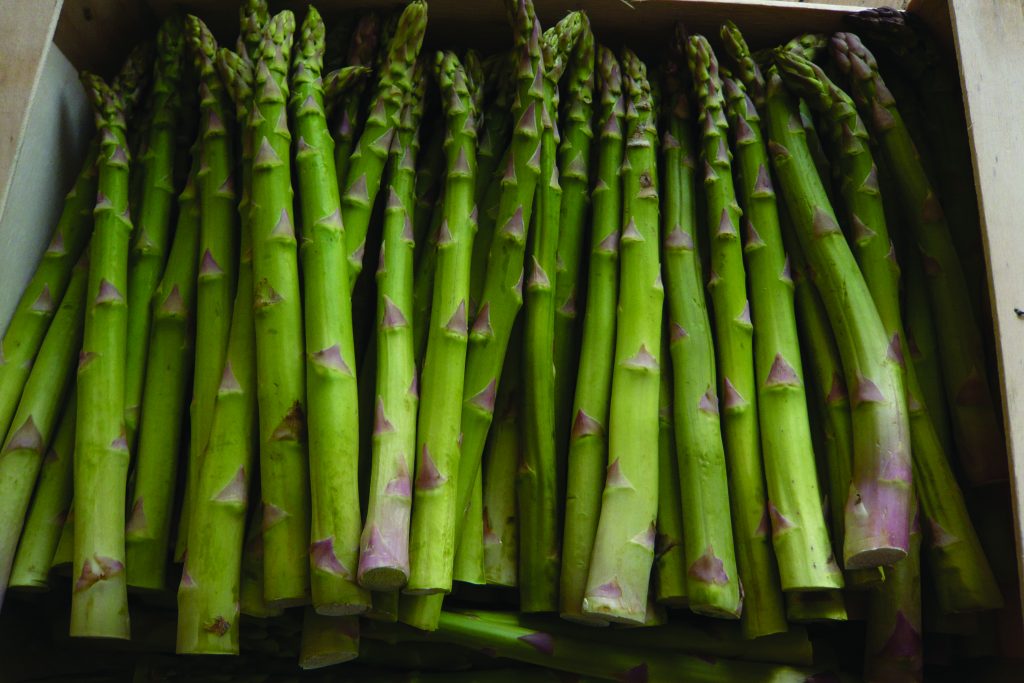 Asparagus