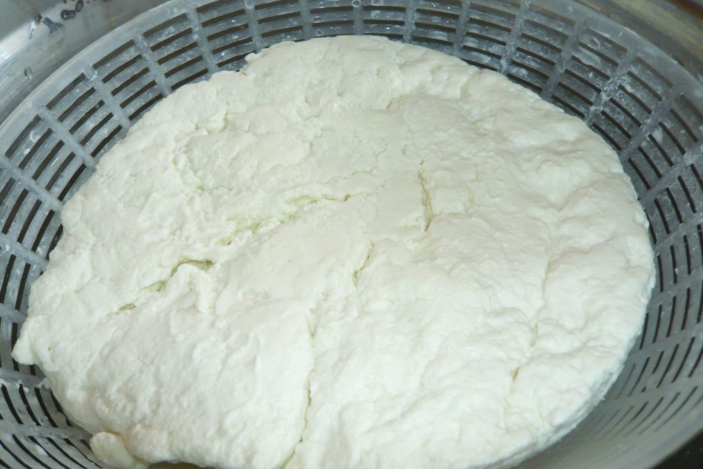 Ricotta