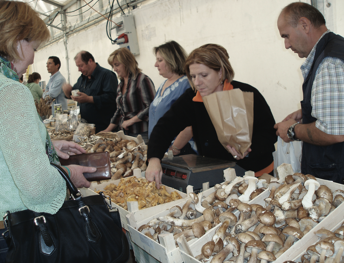 Learning in Style - speaking Italian in Le Marche