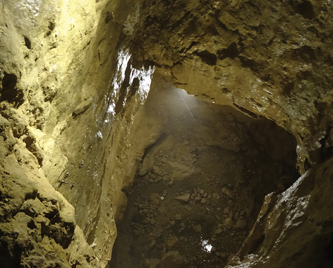 Zyme's cave is a natural humidifier.