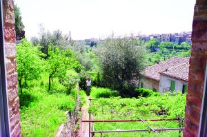 2009-05-montalcino-vc7-giardino-alex