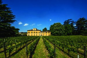 mosnel_vineyard-and-villa-2