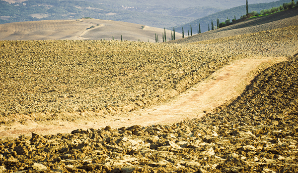 Val D'Orcia, Tuscany