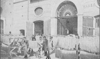 antique picture Italy: Naples, Pasta Factory