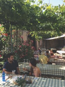 An Osmiza terrace in Friuli