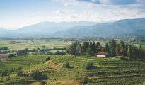 Collio zone Friuli-Venezia-Giulia