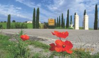 Bevagna and Cannara wine estate in Umbria