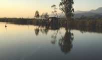 Lake Massaciuccoli, Tuscany, Italy